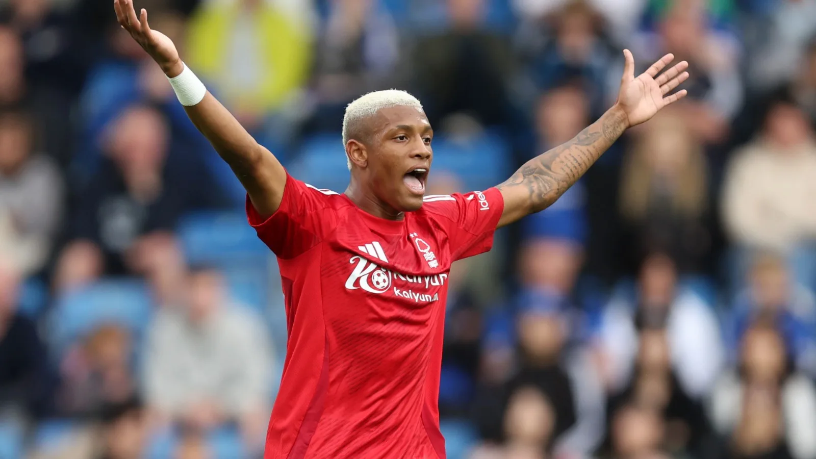 Botafogo avança em negócio pelo volante Danilo, ex-Palmeiras, e torcedor ironiza: “Contratação pra jogar a Série B”