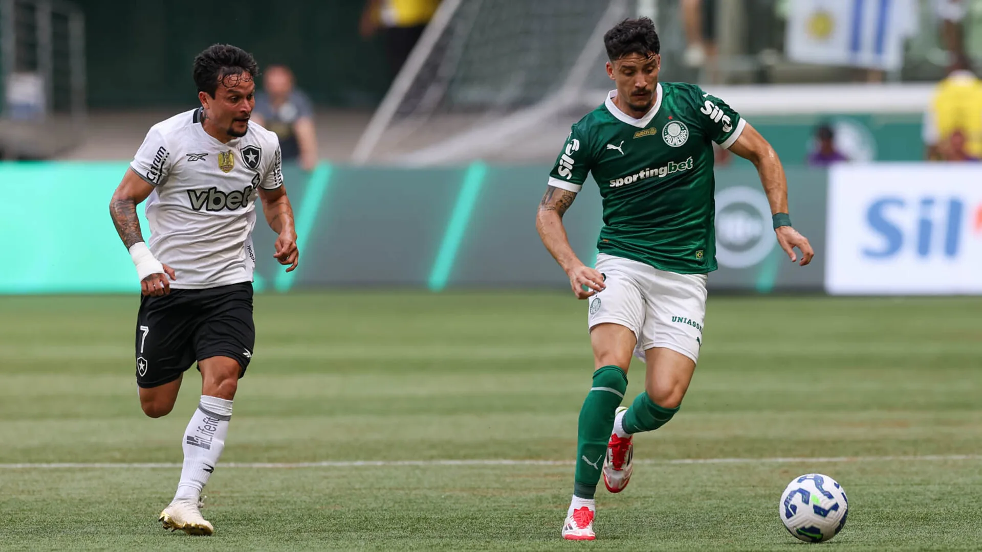 Onde assistir Botafogo x Palmeiras ao vivo pelo Brasileirão: prováveis escalações, desfalques e retrospecto