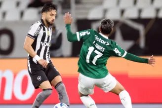 Botafogo 0 x 1 Palmeiras