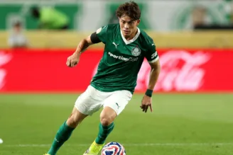 Giay Palmeiras