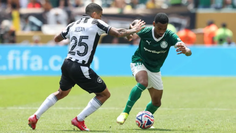 Vampeta banca classificação e antecipa possível algoz do Palmeiras na Libertadores: “Só o Botafogo para tirar”