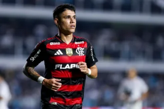 Luiz Araújo Flamengo