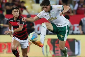 Palmeiras e Flamengo estão na semifinal da Libertadores