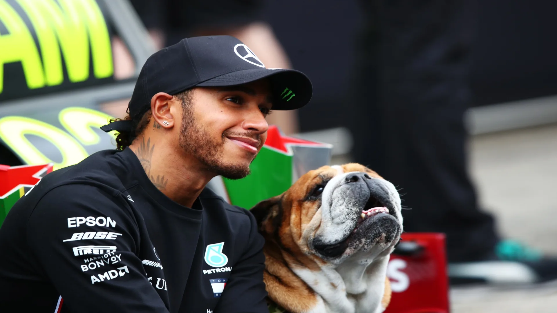 Heptacampeão da F1, Lewis Hamilton comunica o falecimento de seu cachorro, Roscoe