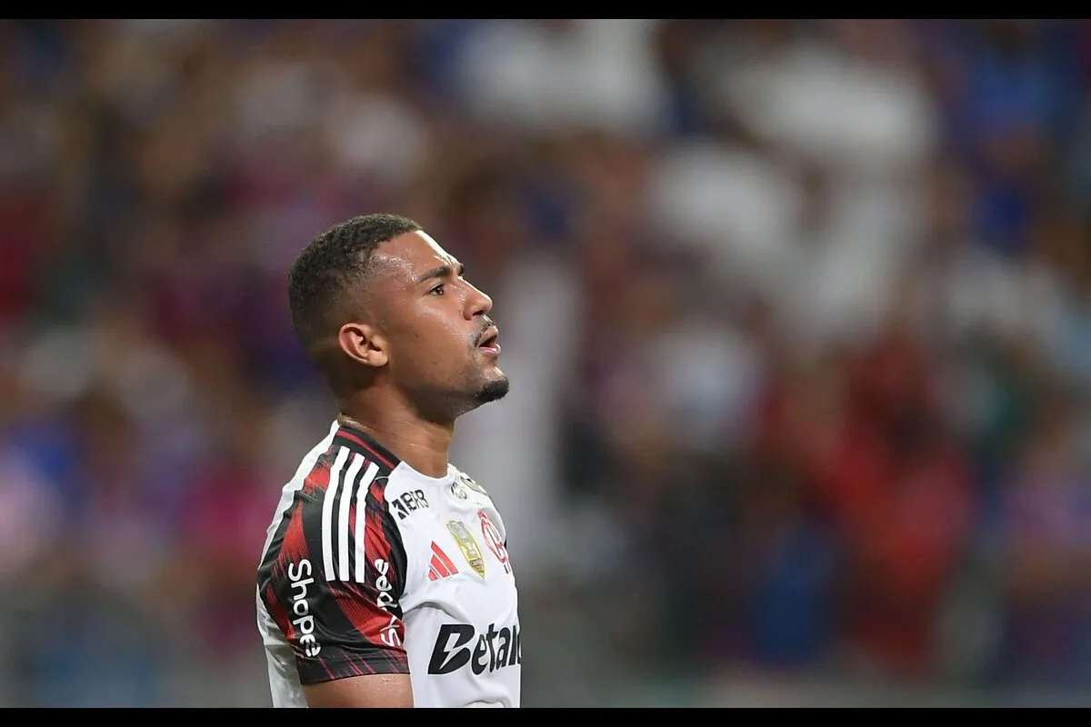 Palpite Botafogo x Flamengo – Brasileirão – 15/10/2025