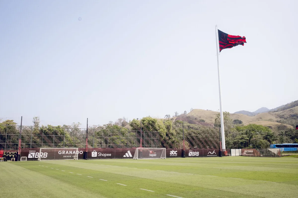 Flamengo reclama de ação da ABCD, e torcida posta foto da presidente em jogo do Palmeiras