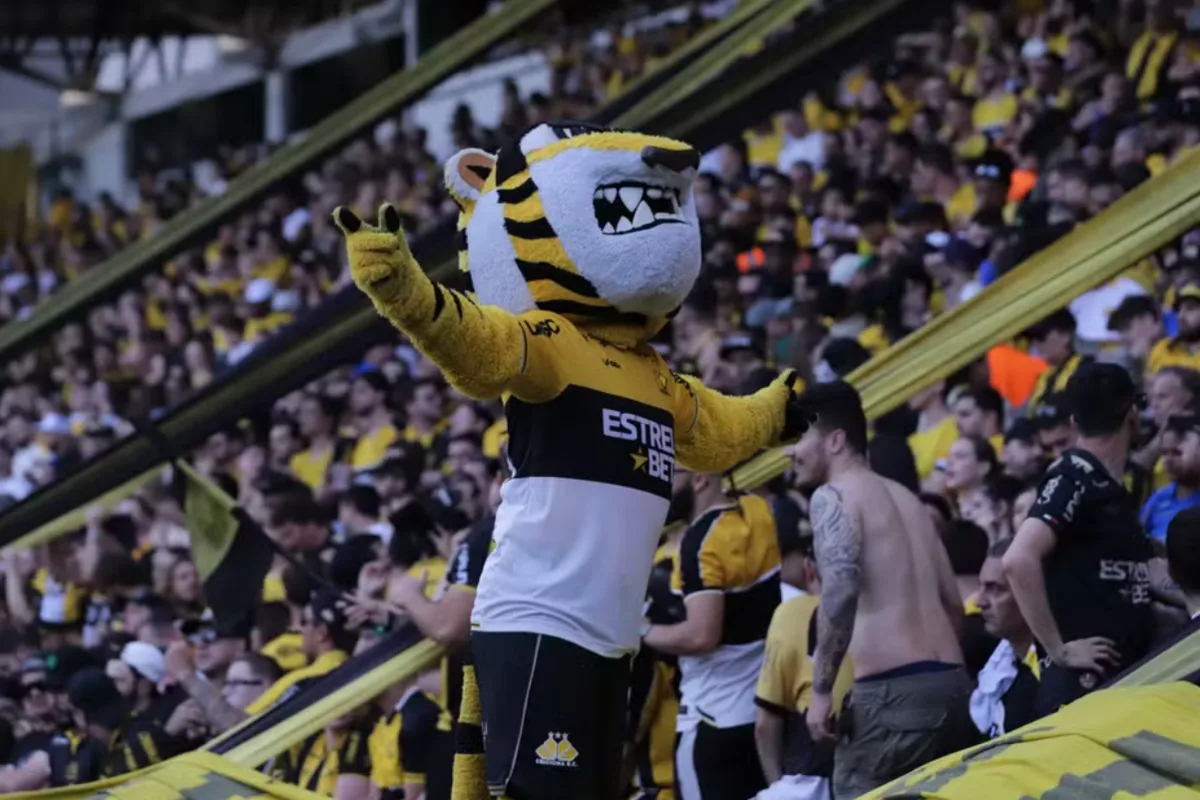 Criciúma fica perto da Série A, leva mascote à loucura e fretará avião de Leila Pereira