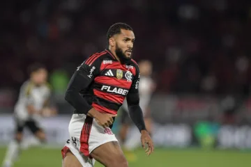 Juninho, do Flamengo