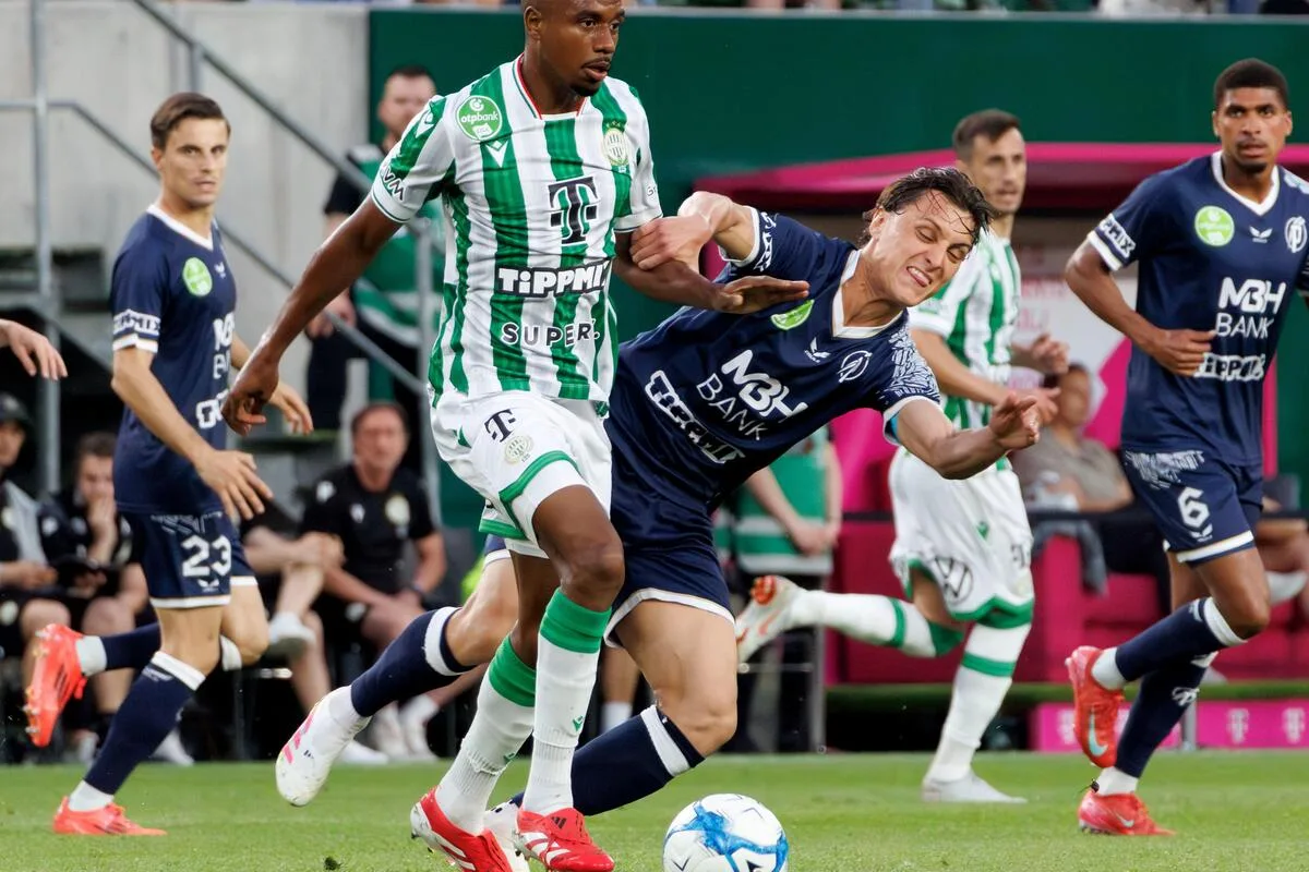 Botafogo busca reforço na Hungria para próxima temporada