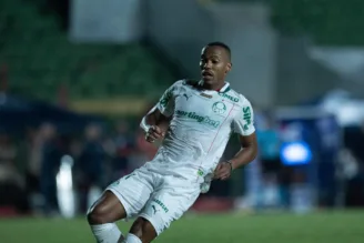 Palpite Palmeiras x Santos - Campeonato Paulista - 14/01/2026