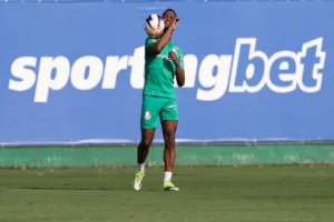 Arias inicia trabalhos no Palmeiras e Paulinho evolui na recuperação