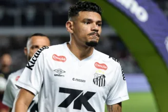 Tiquinho Soares, do Santos