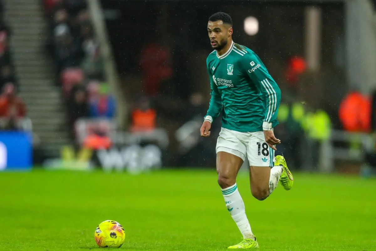 Palpite Liverpool x Brighton – FA Cup – 14/02/2026