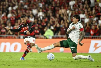 palmeiras-flamengo